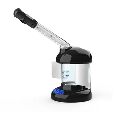 Vapeur pour les cheveux et le visage