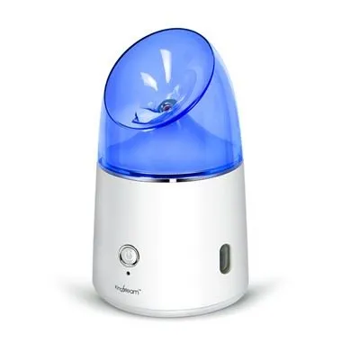 Vapeur faciale de table